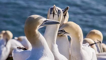 吨袋价格究竟多少钱一个？