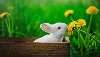 股市必读：4月18日瑞华技术发生1笔大宗交易 成交金额3204万元