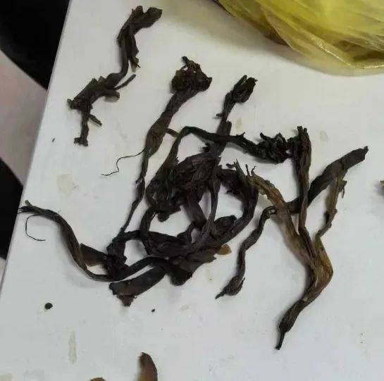 广州母子自行购买中药煲汤，喝下后双双中毒被送进ICU抢救！