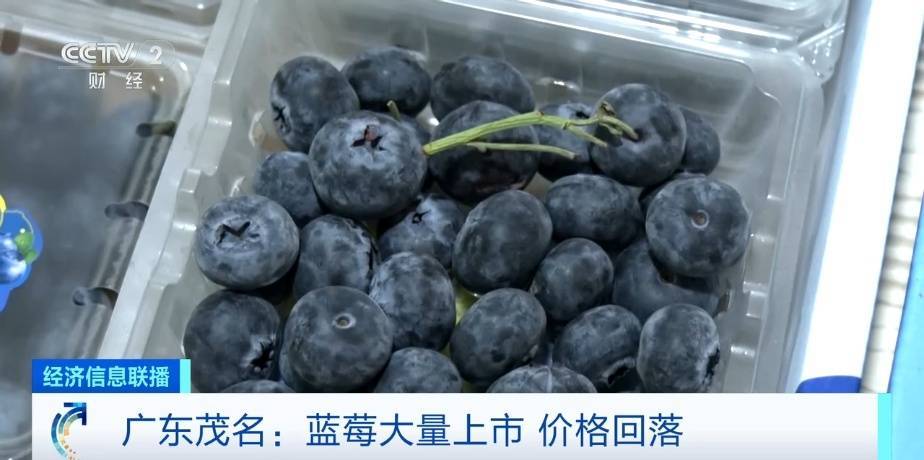 蓝莓价格“腰斩”！每天吃一盒会发生什么？