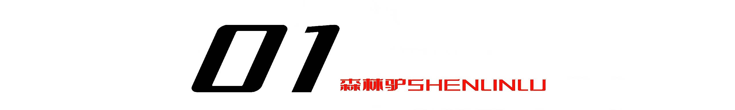 桉木价格“小阳春”，暖阳能持续多久？