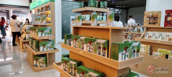 中国·云南野生食用菌交易中心数字化交易平台正式上线 赋能易门食用菌产业高质量发展