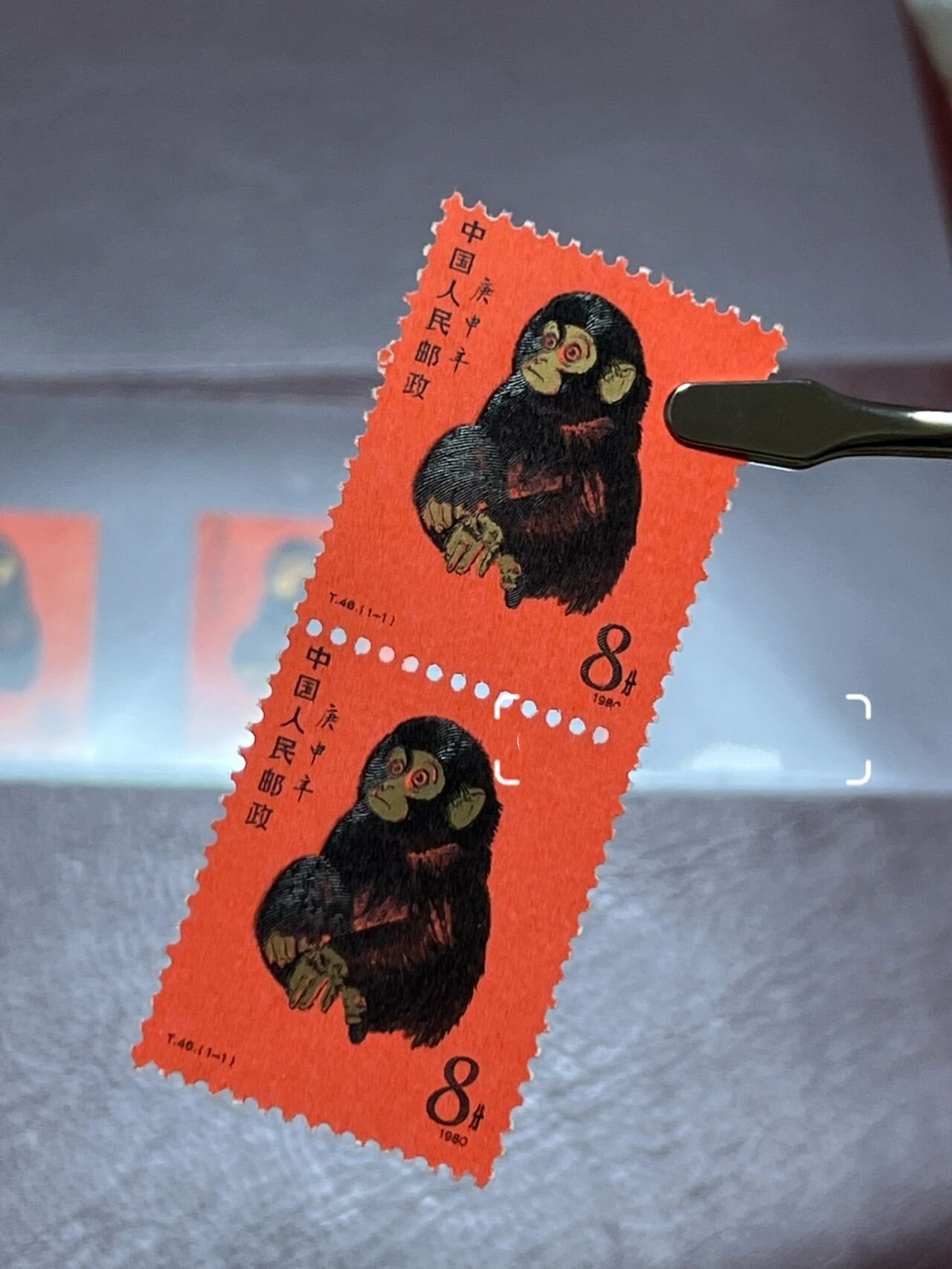 猴币虚拟货币(猴币mc今日价格)